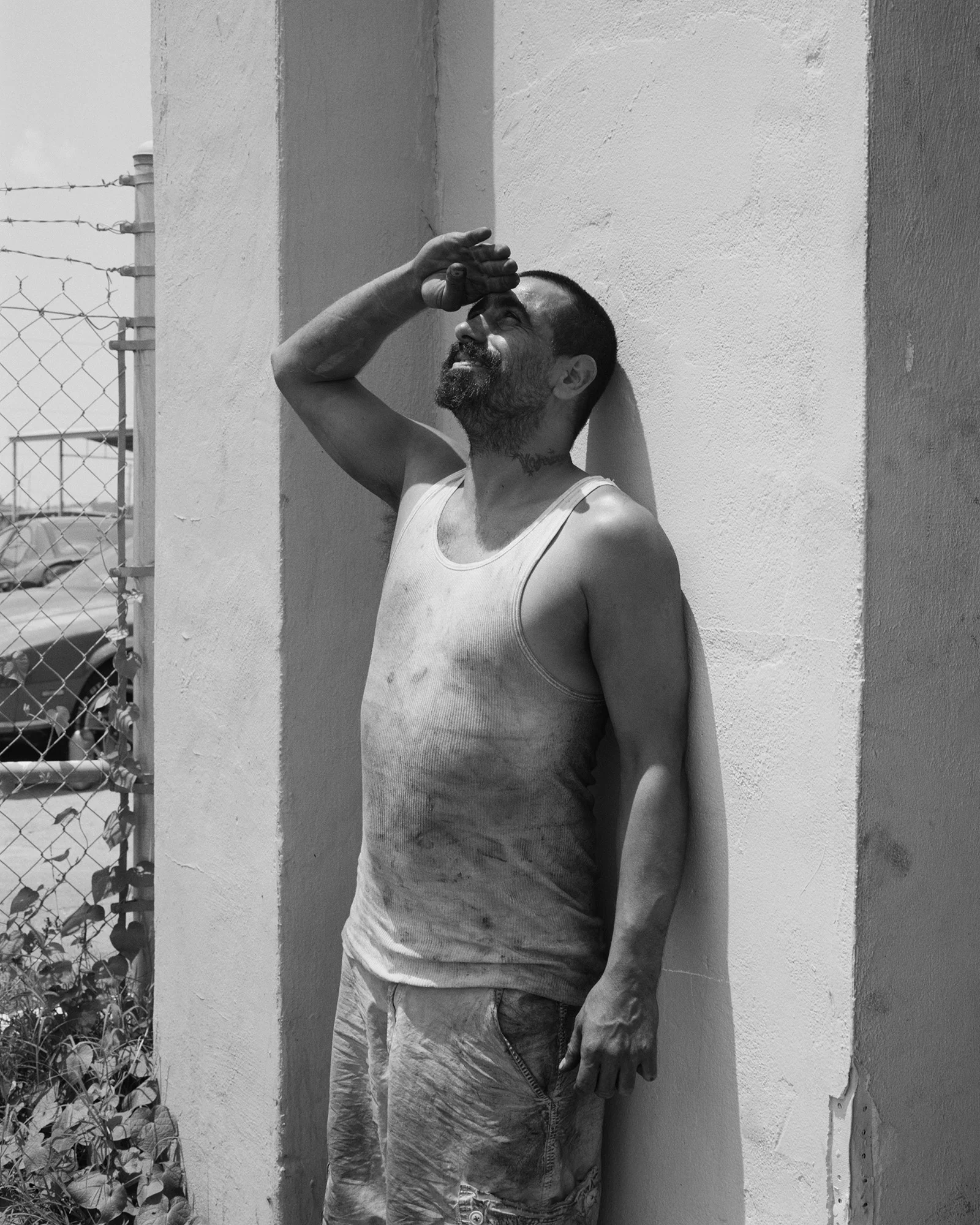 © Shane Lavalette