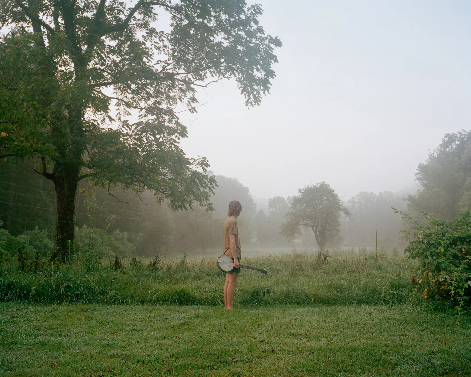 © Shane Lavalette