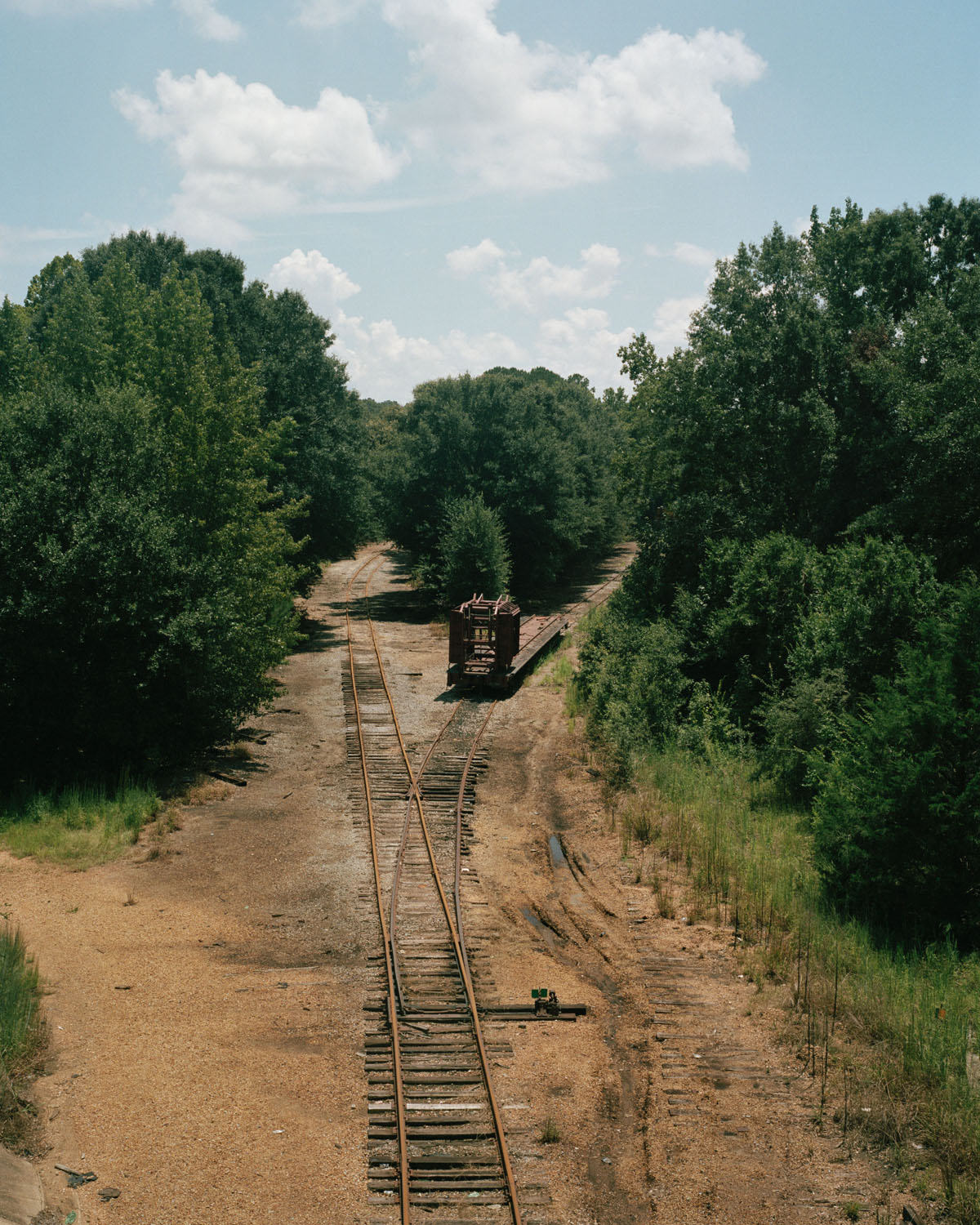 © Shane Lavalette