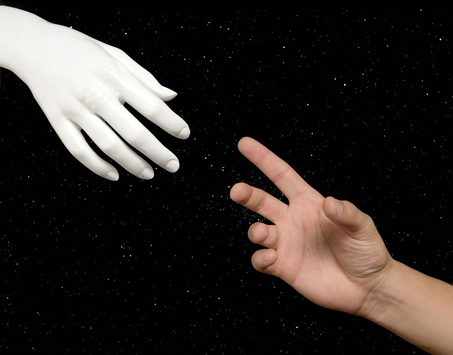 Image Courtesy of Shutterstock