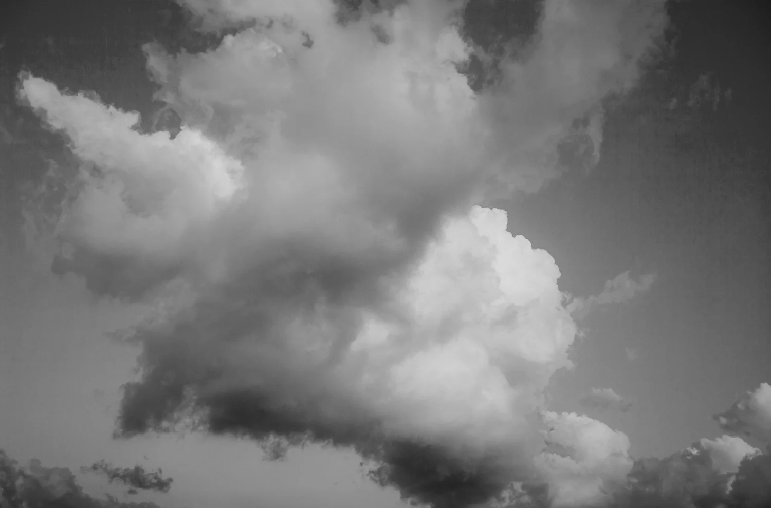 Jeff Sessions' top selling photograph: "Untitled (Freedom Clouds), 2017" *