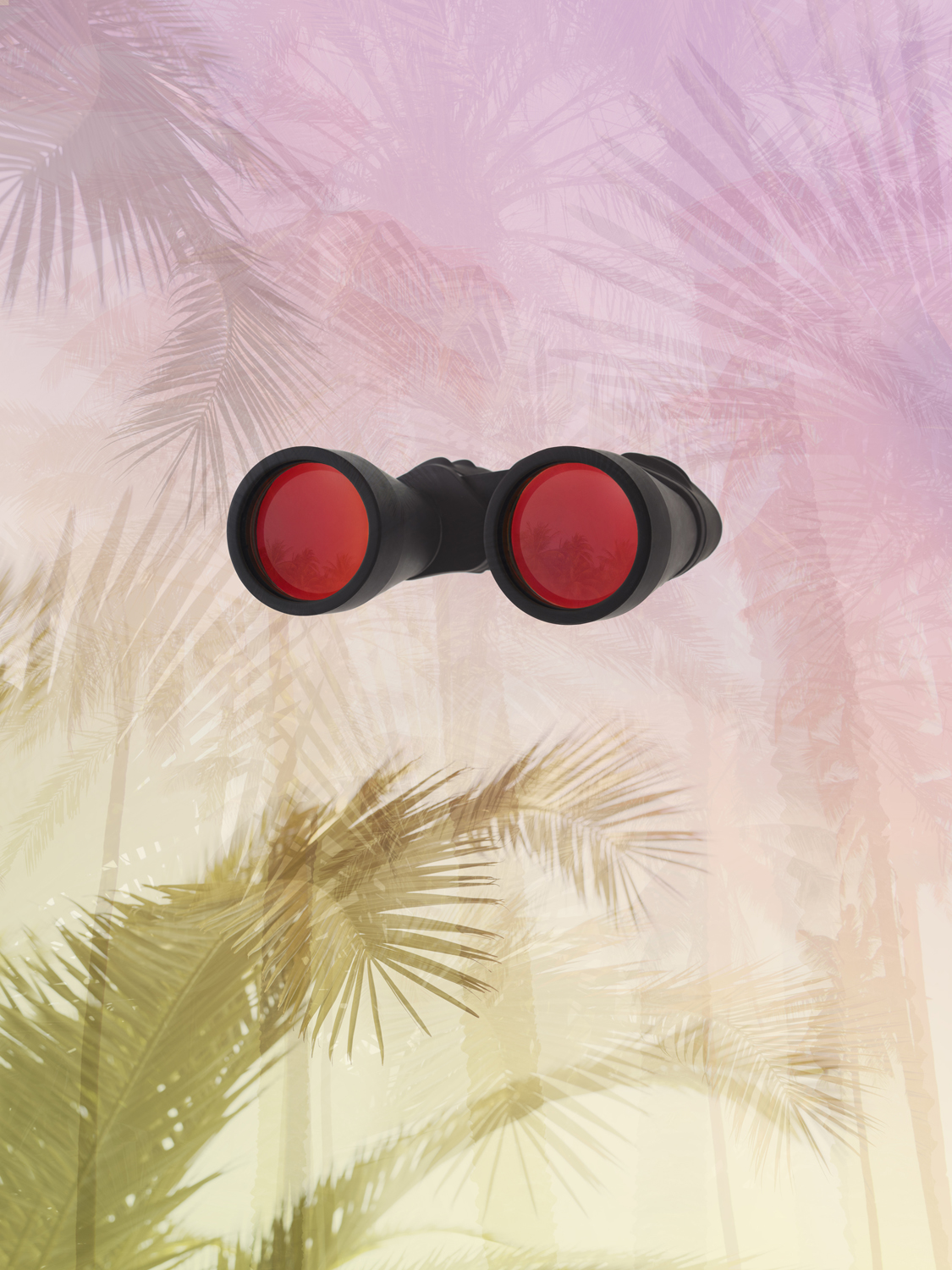 Binocular Tropical © Joseph Desler Costa
