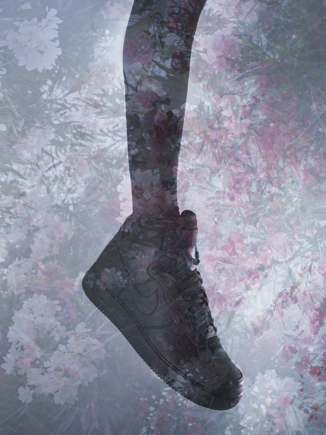 Air One Oleander © Joseph Desler Costa
