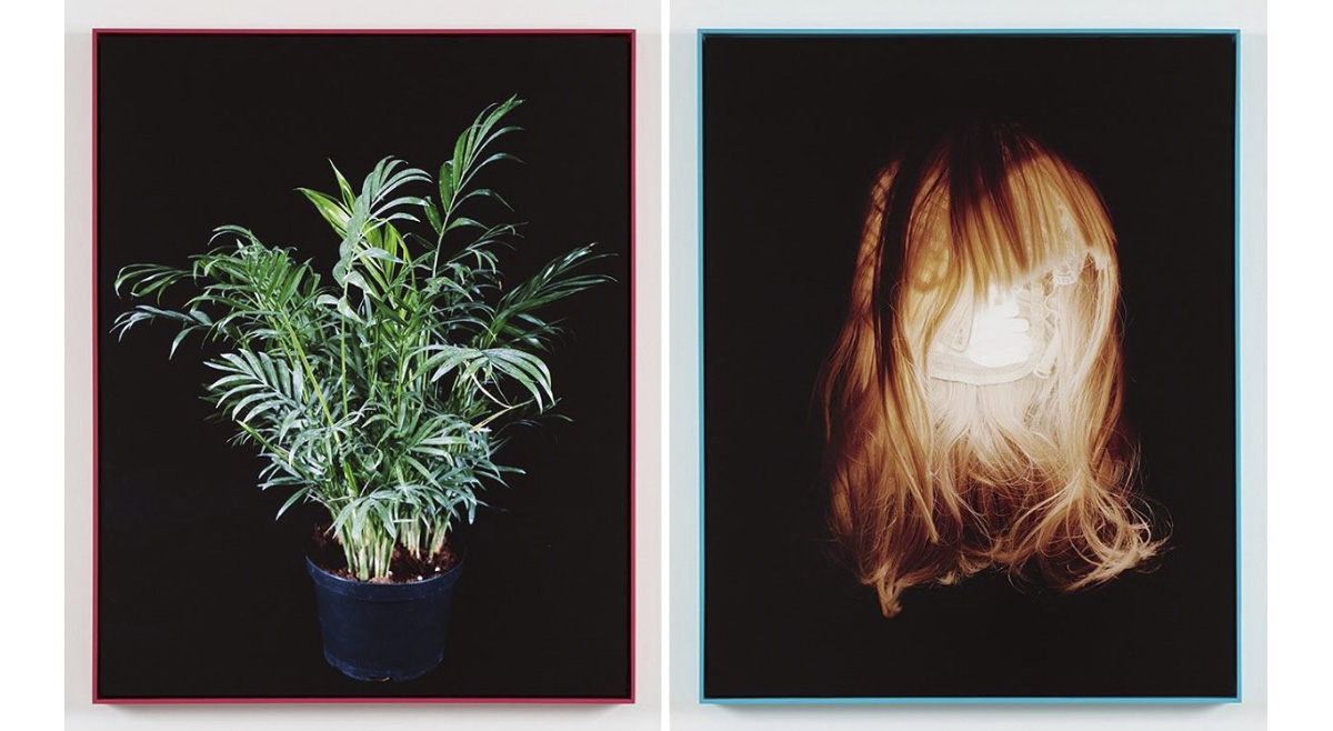 Photos © Lydia McCarthy aka @lydiamccarthy