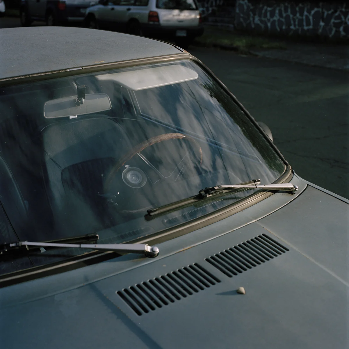 Photo © Carl Bigmore