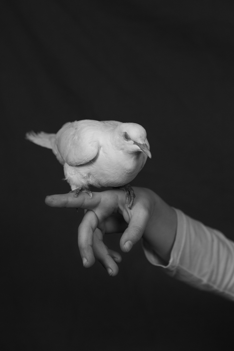 Photo: © Sara Palmieri
