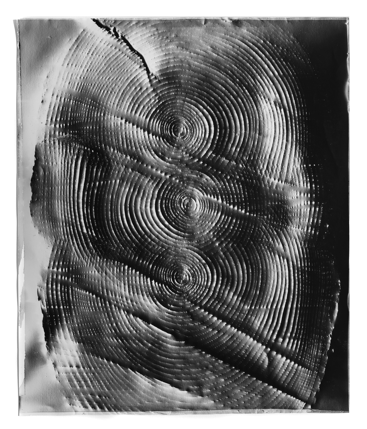 Photo © Klea McKenna