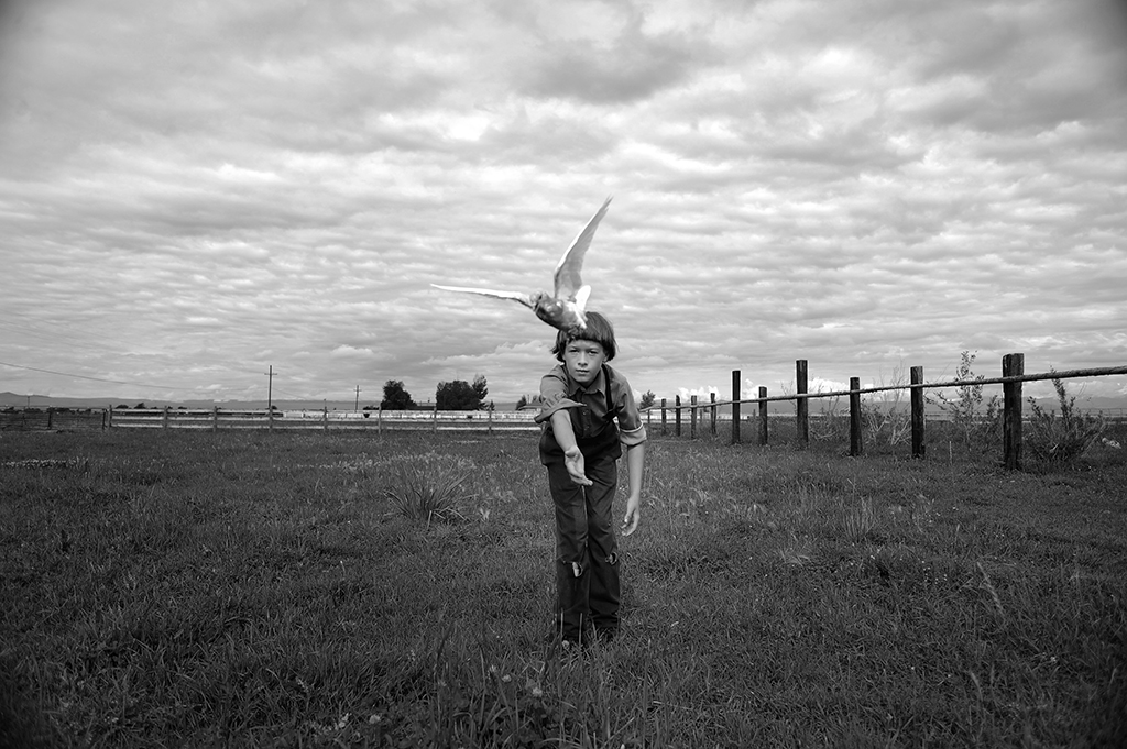 © Judy Walgren
