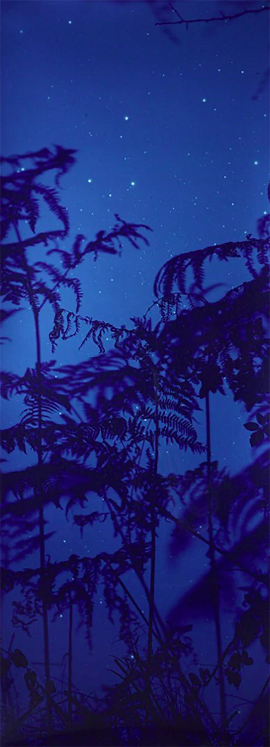 © Susan Derges