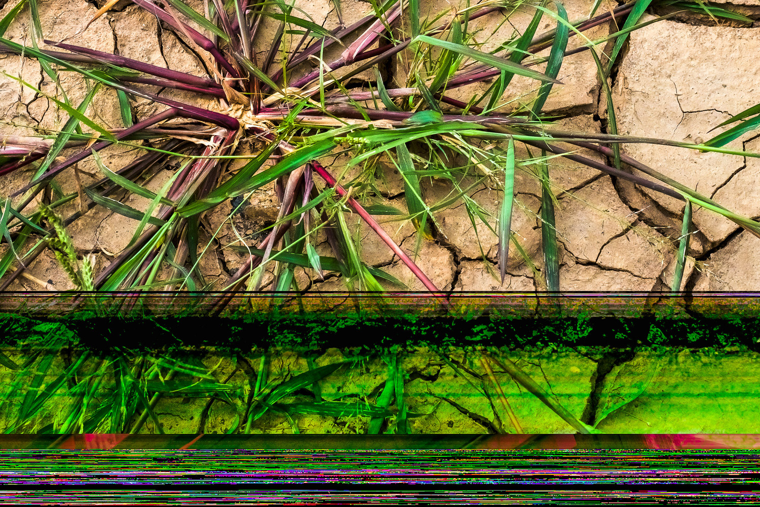 © Betsey Hansell, Untitled from the series Penn’s Point Corrupted
