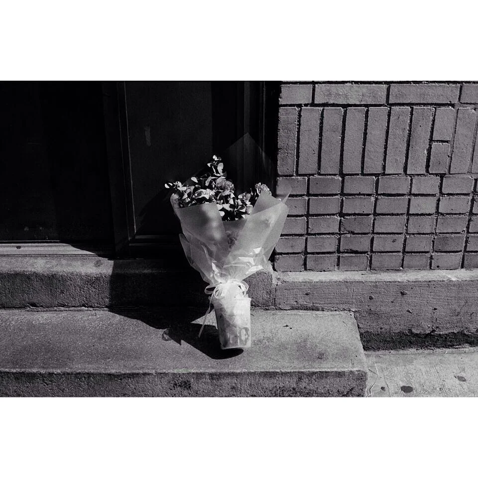 Photo: Colin Stearns // @colin_stearns