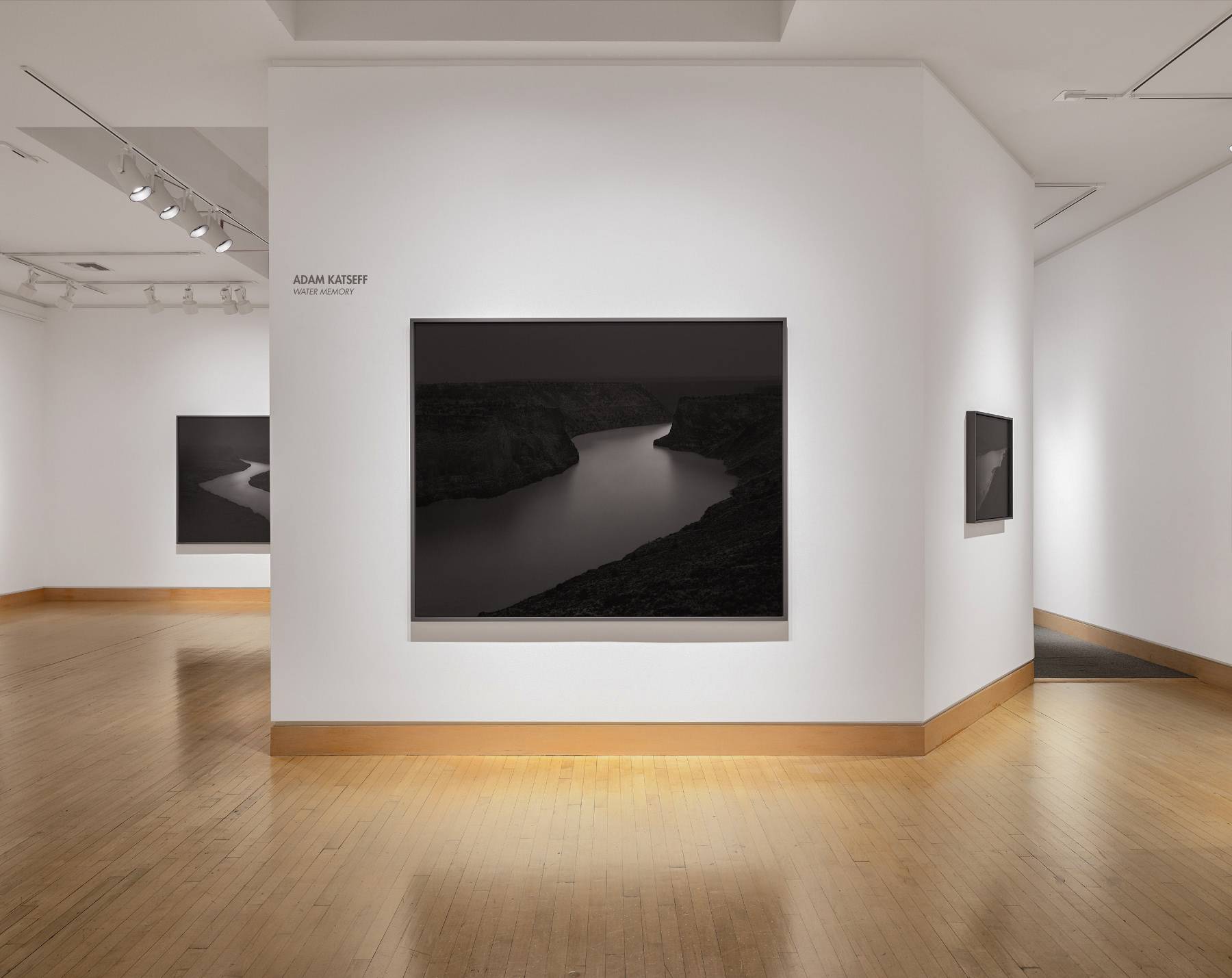 Installation photo courtesy of Robert Koch Gallery