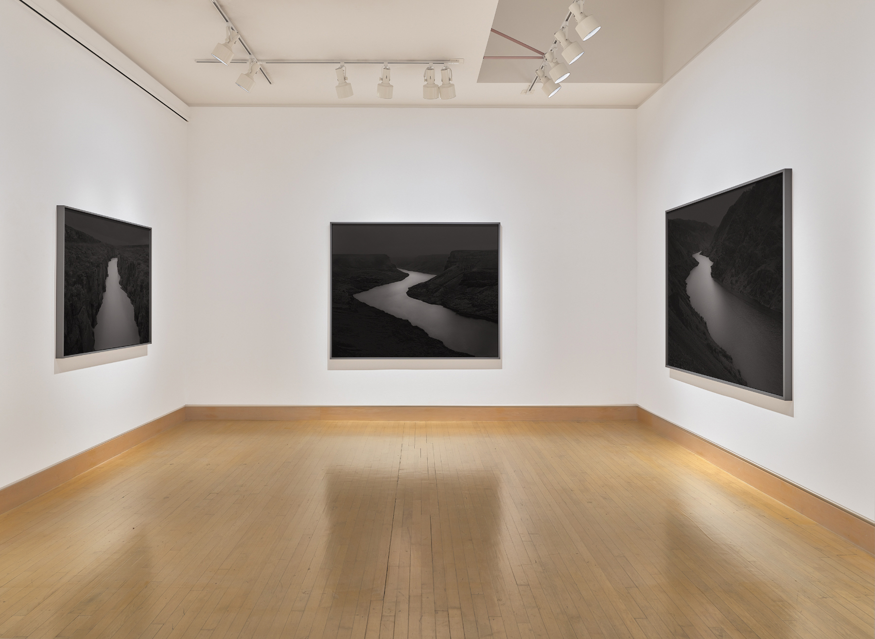 Installation photo courtesy of Robert Koch Gallery