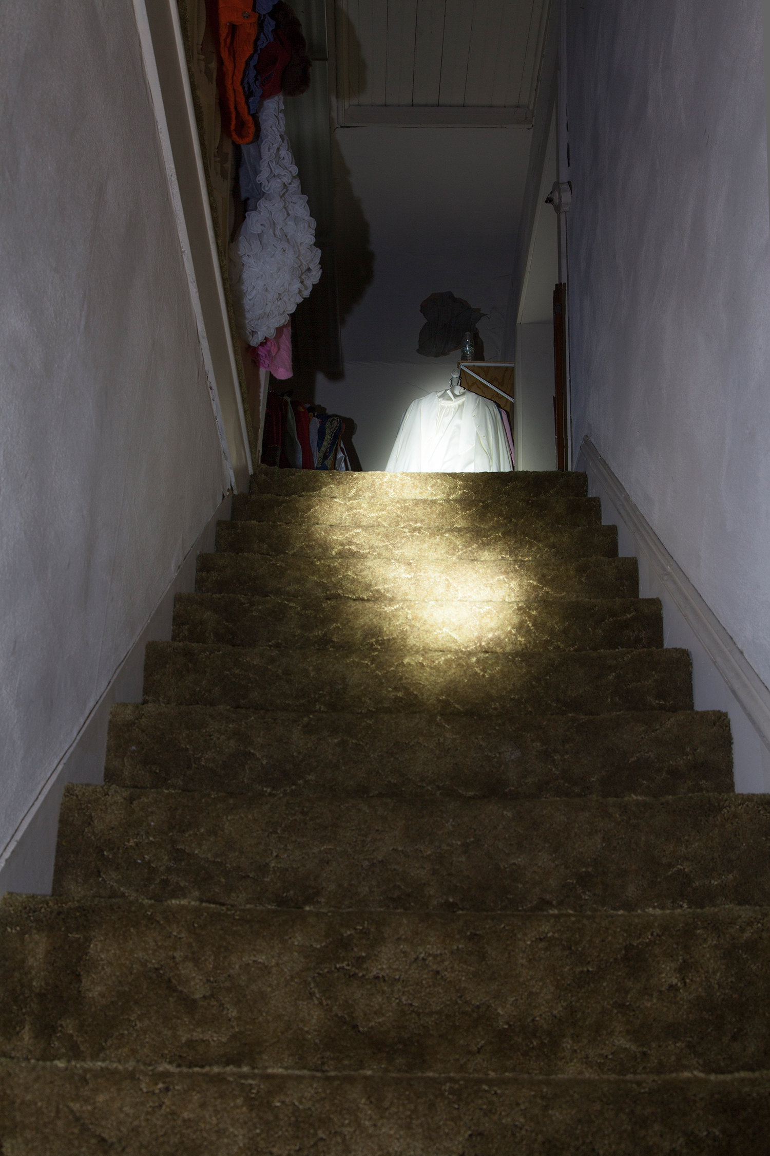 © Barbara Diener