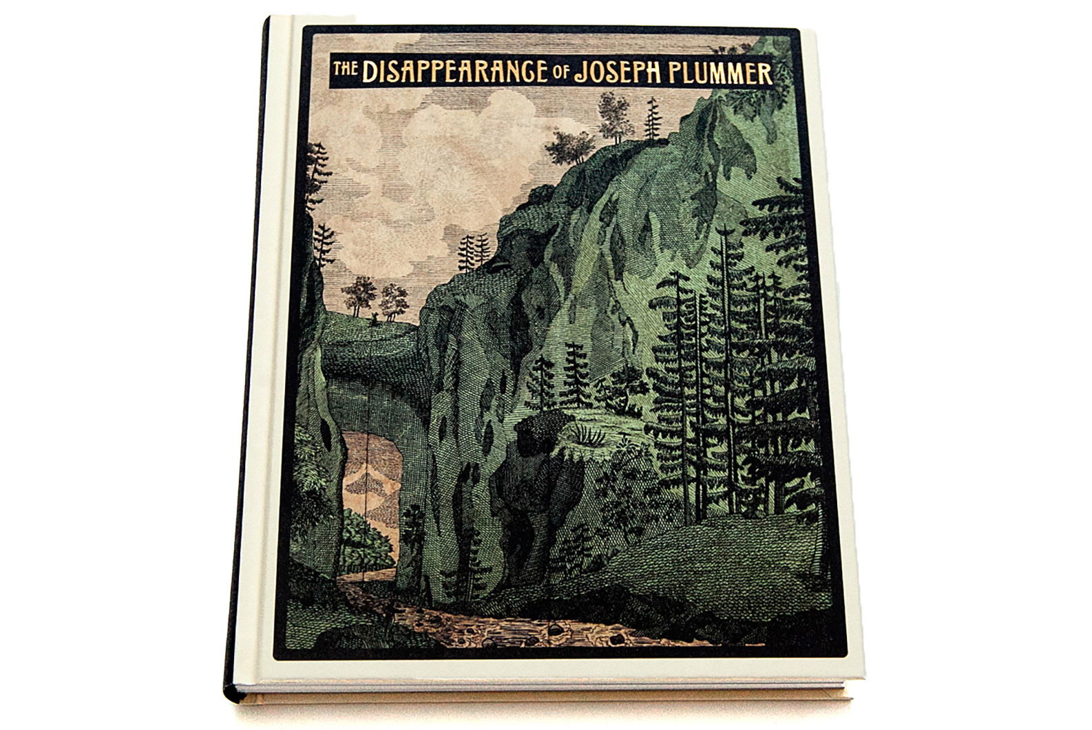 The Disappearance of Joseph Plummer