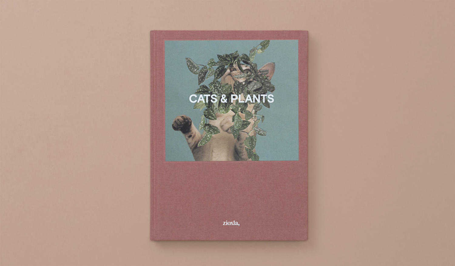 Cats and Plants