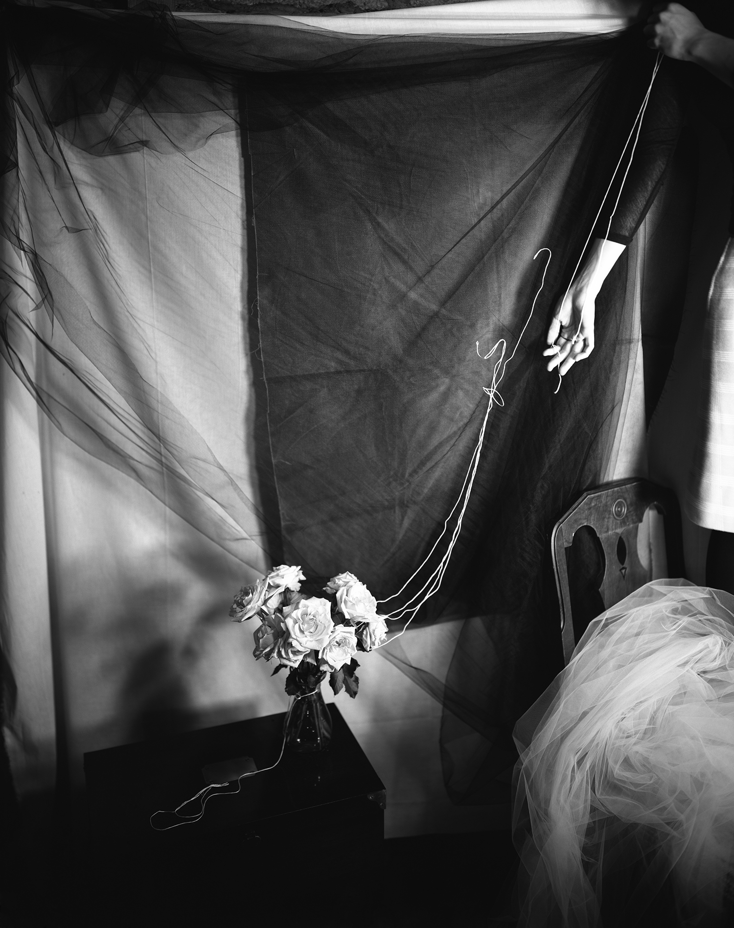Old Roses, 2007. From the series "Weights and Measures." © Lauren Semivan