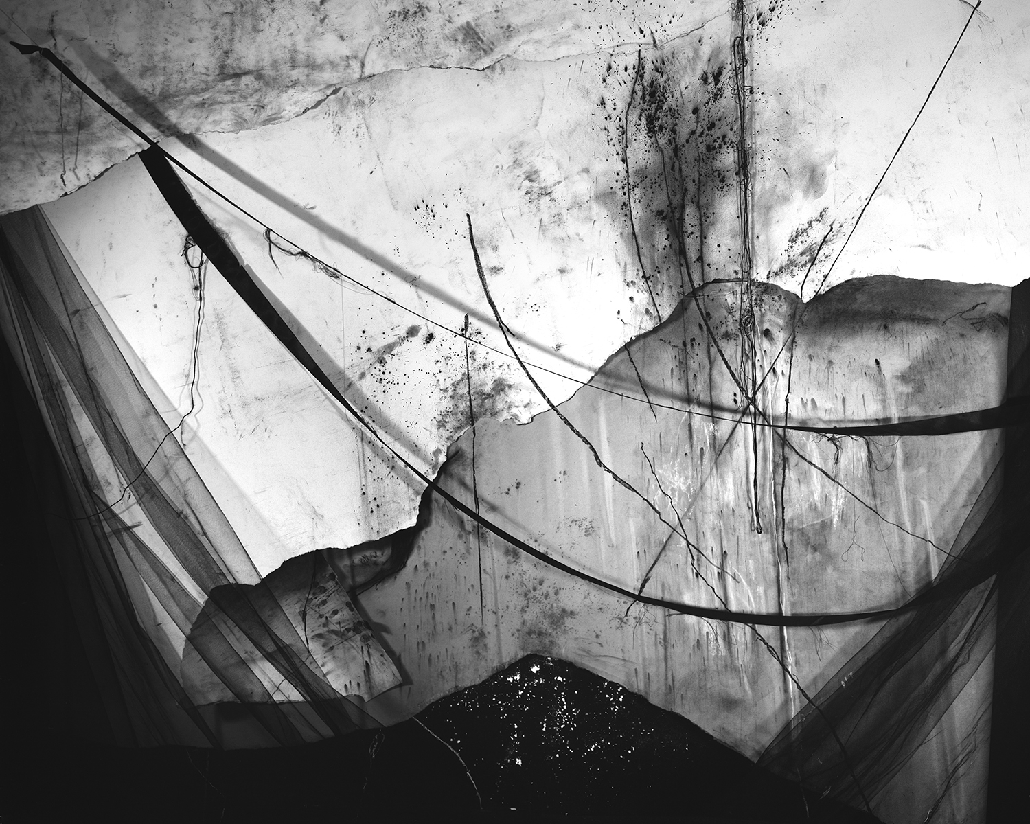 Pined, 2017. From the series "Pitch." © Lauren Semivan