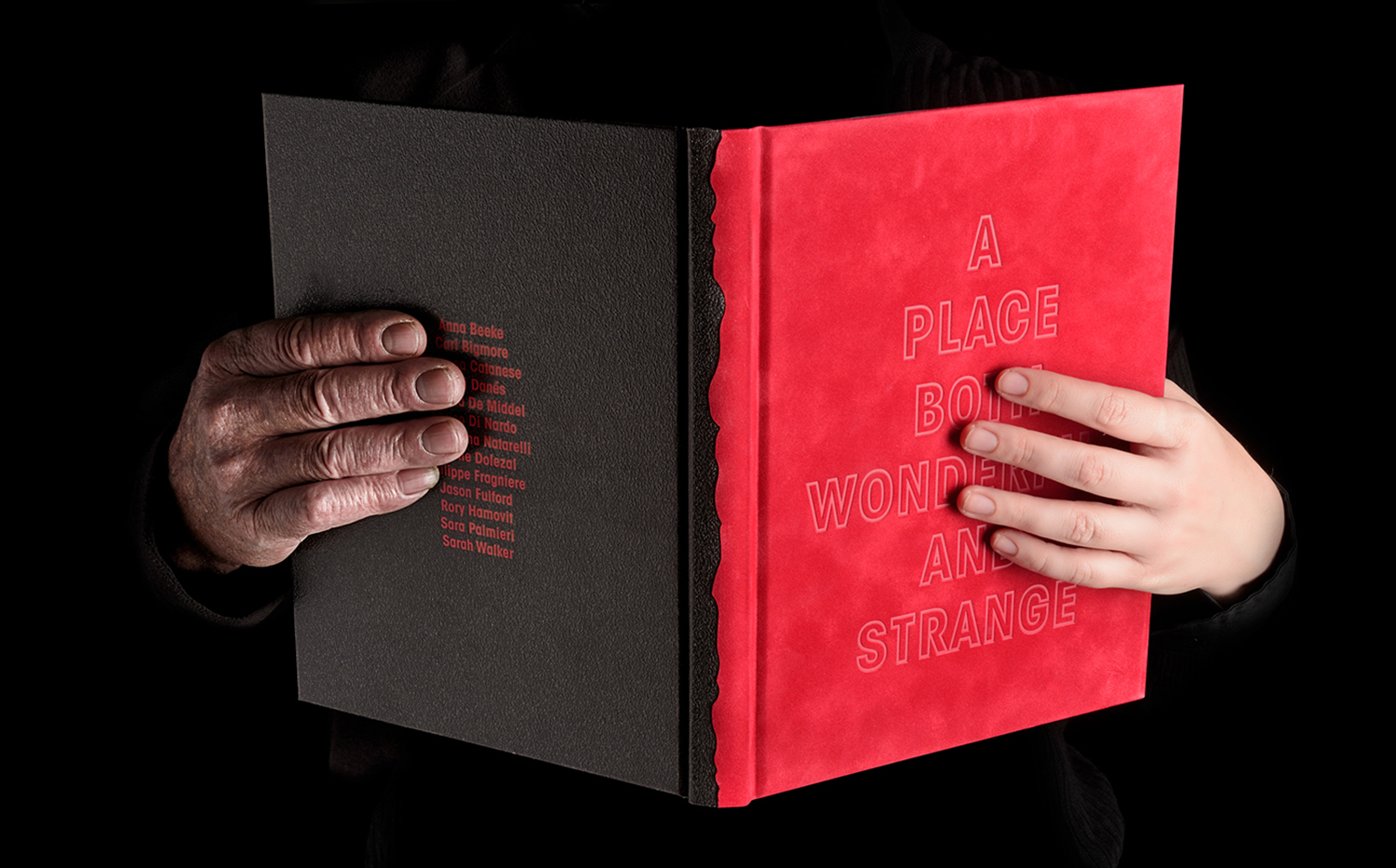 A Place Both Wonderful and Strange © 2017 Fuego Books