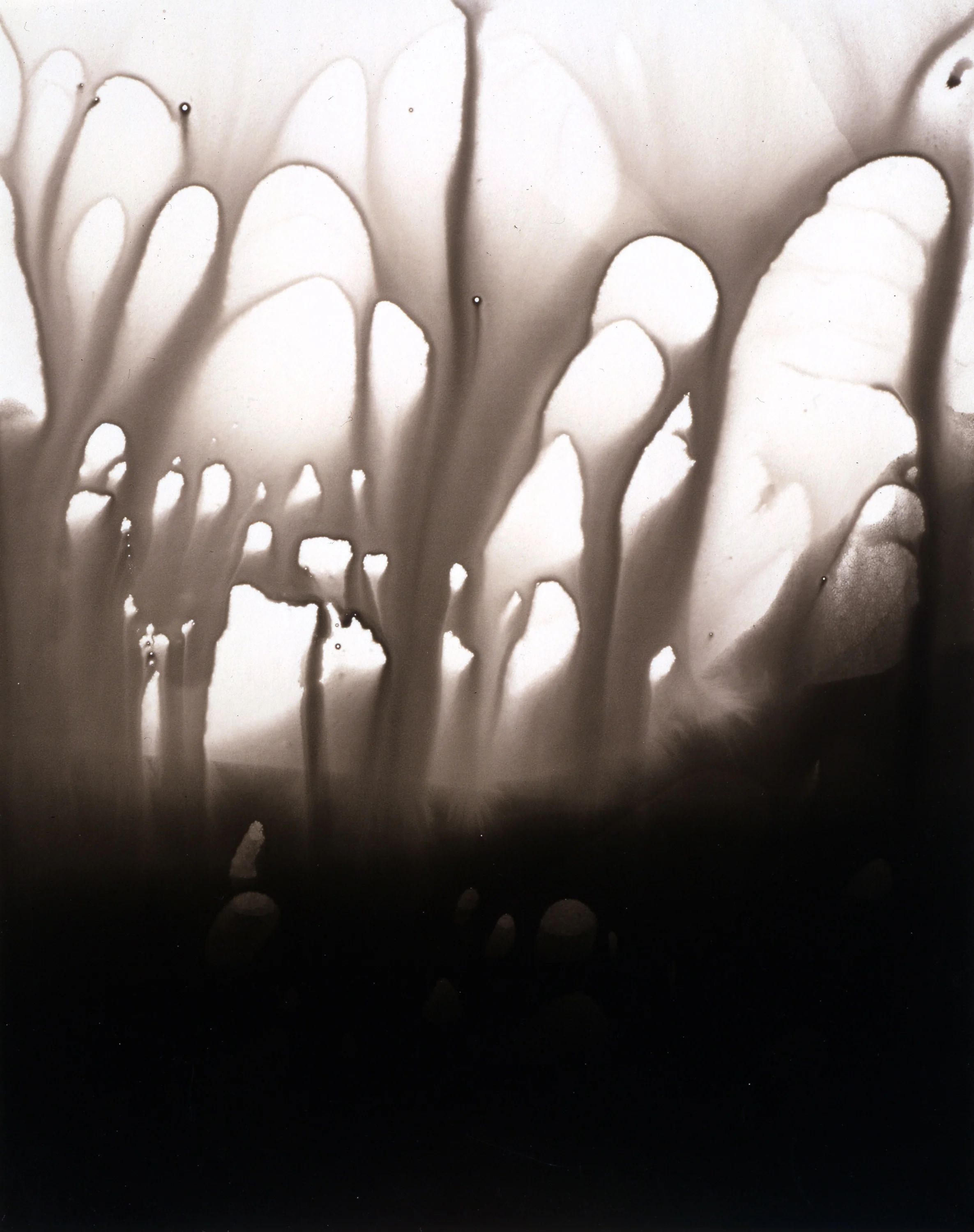 Image: Jay DeFeo, Untitled (Salvador Dalí's Birthday Party), 1973. Gelatin silver chemigram. © 2018 The Jay DeFeo Foundation/Artists Rights Society (ARS), NY.