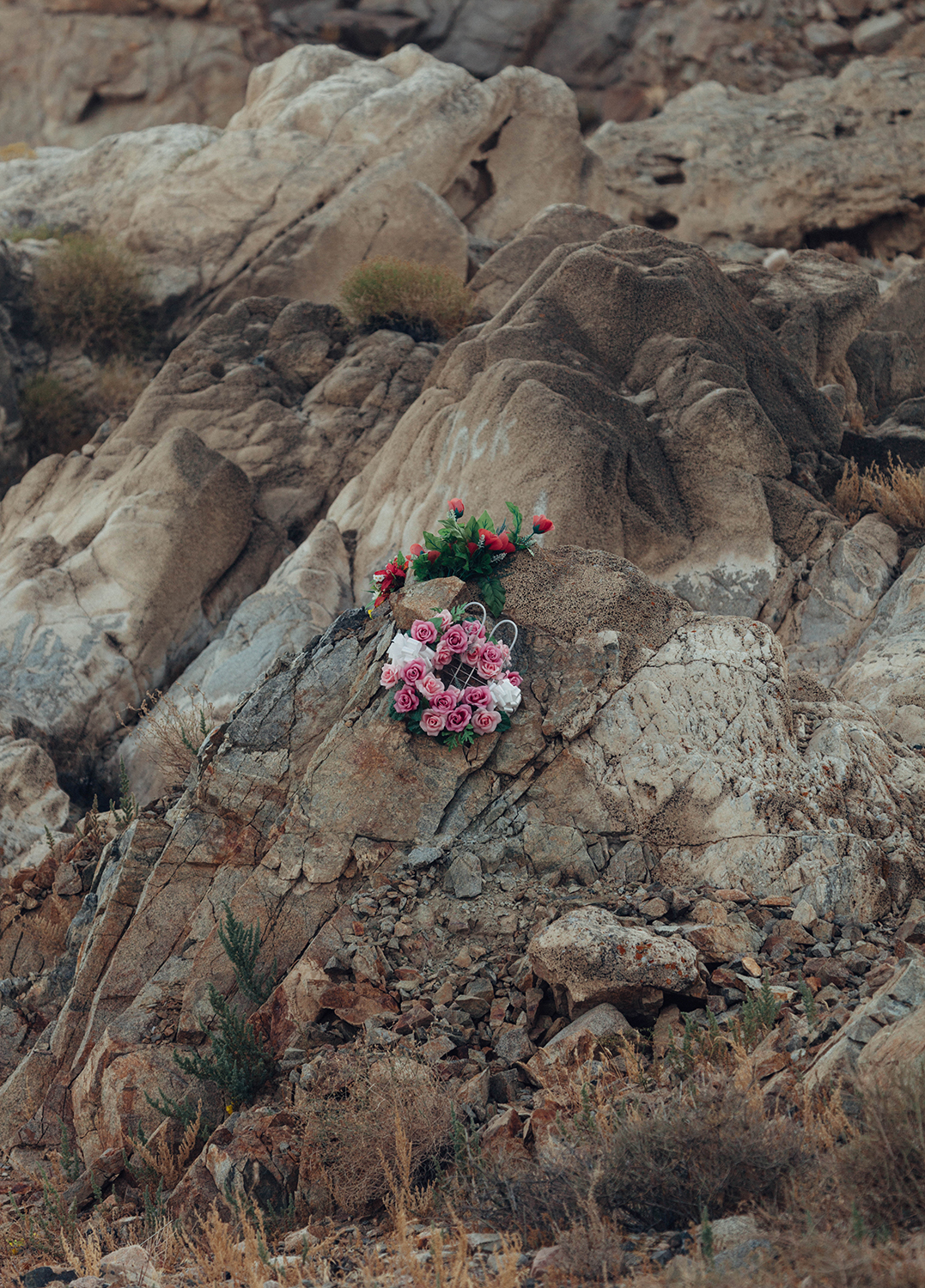 "Do you cry out in your sleep?," Archival Metallic Inkjet Print, 19.75” x 27.5”, 2017 © Mikayla Whitmore