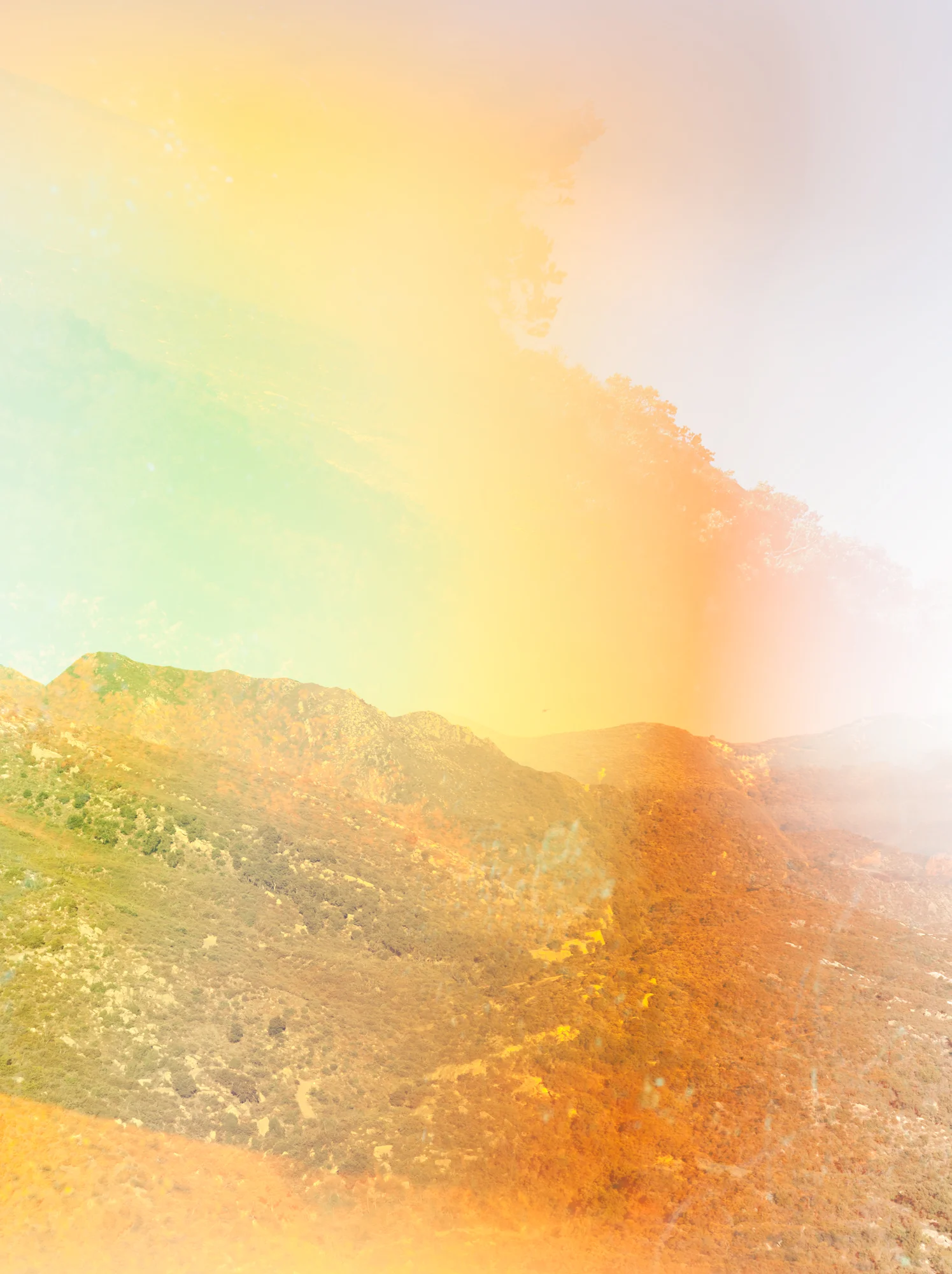 Psychscape 26 (Rock Garden, CA), 2017. © Terri Loewenthal