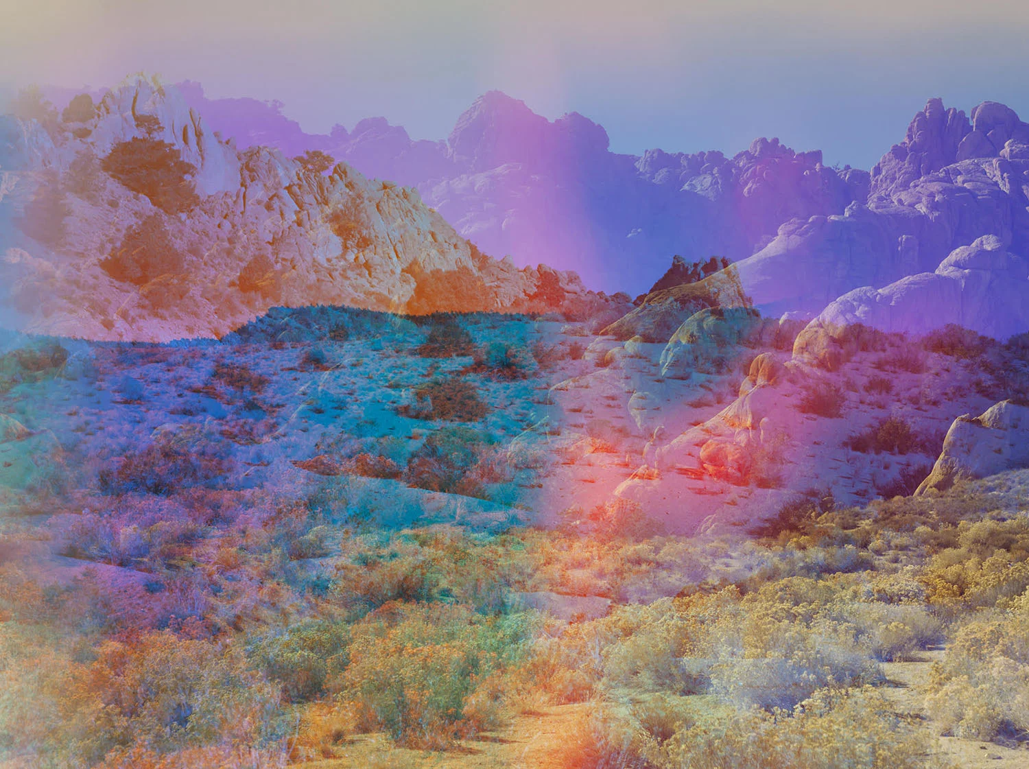Psychscape 18 (Banner Ridge, CA), 2017 © Terri Loewenthal