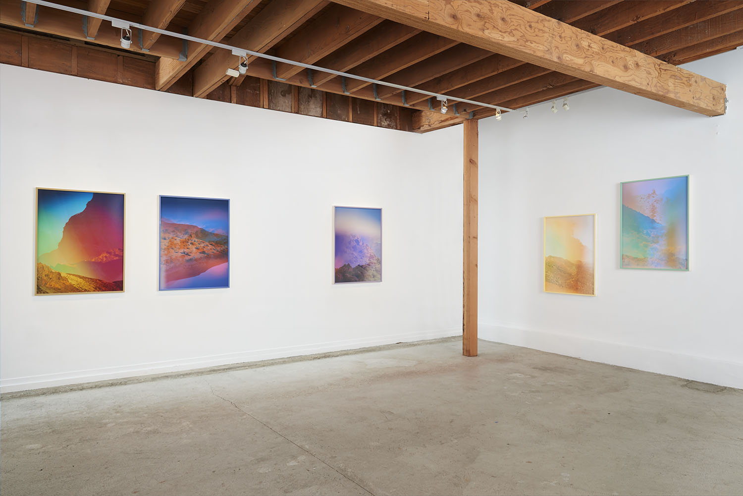 Installation photograph courtesy of Cult Exhibitions / Terri Loewenthal