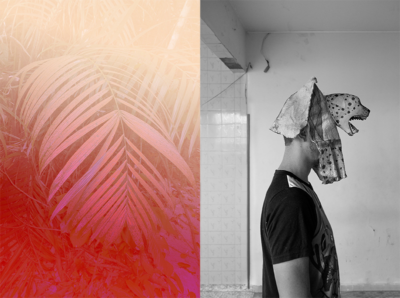 © Elsa Leydier. From the series Braços verdes e olhos cheios de asas