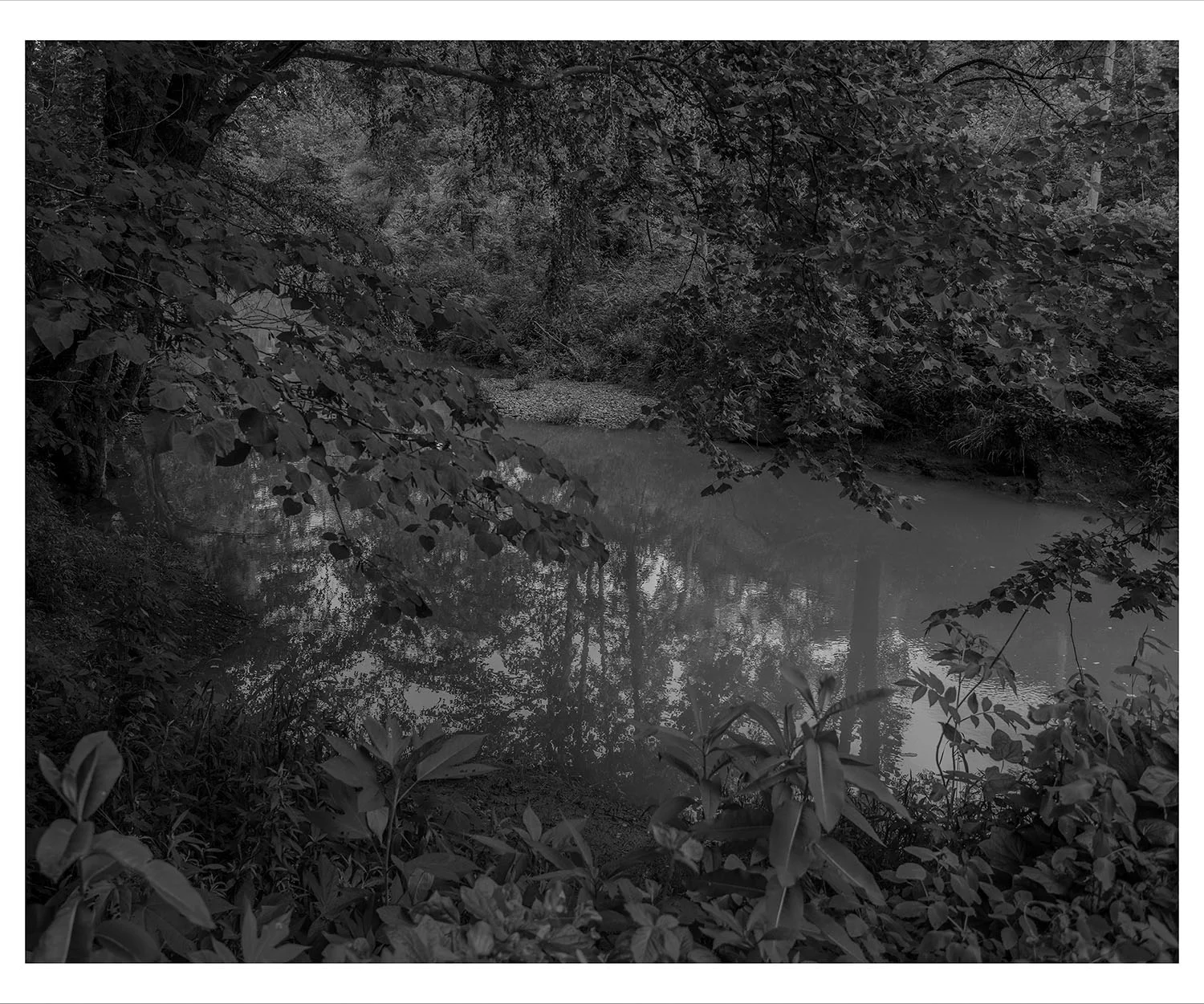 Disappointment Creek © Kristine Potter
