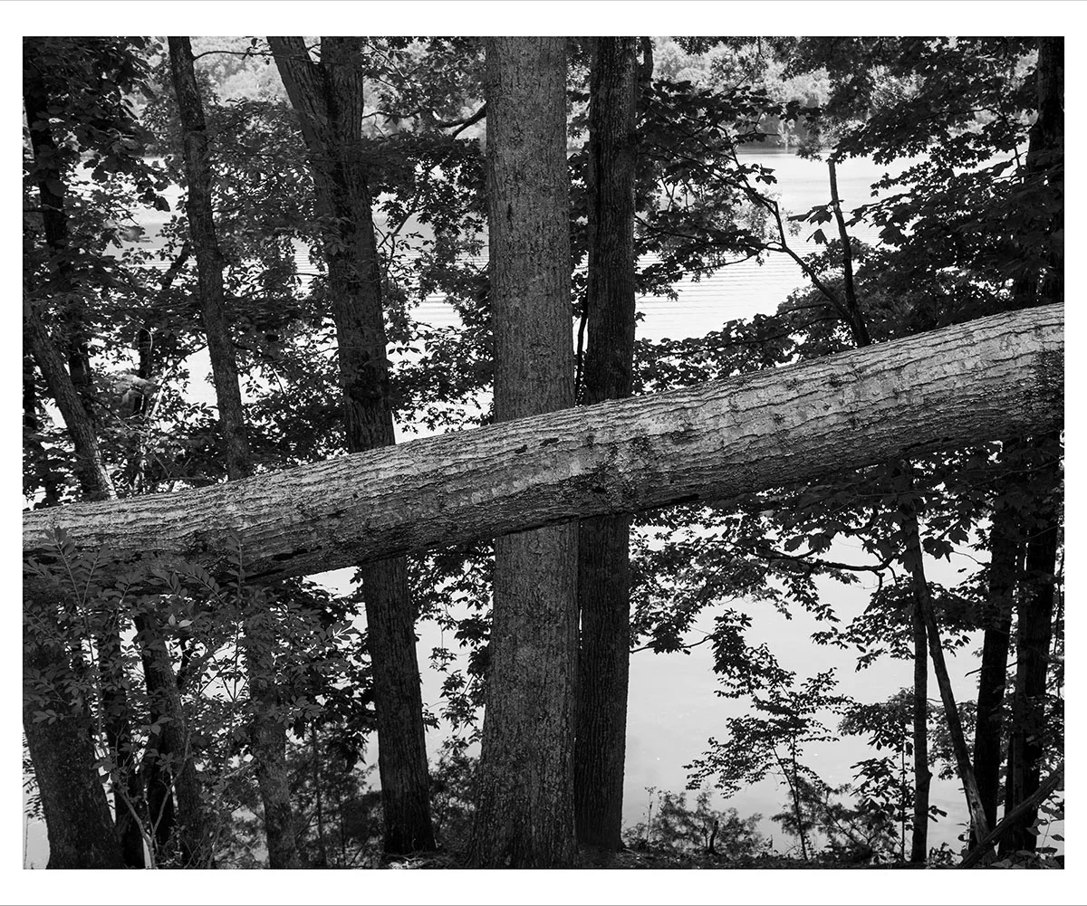 Defeated TN © Kristine Potter
