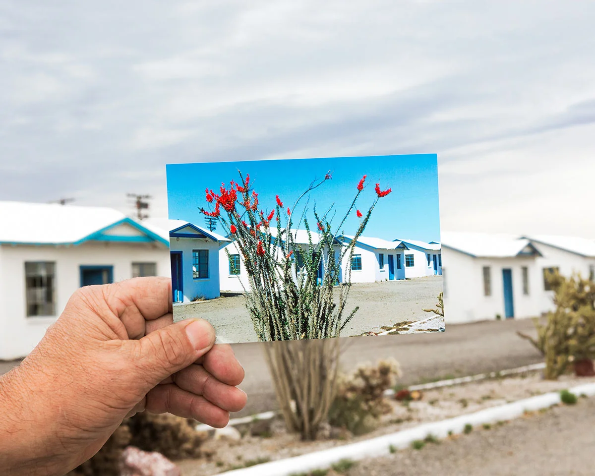 © Lauren Silberman. From the series The Opposite of Salt