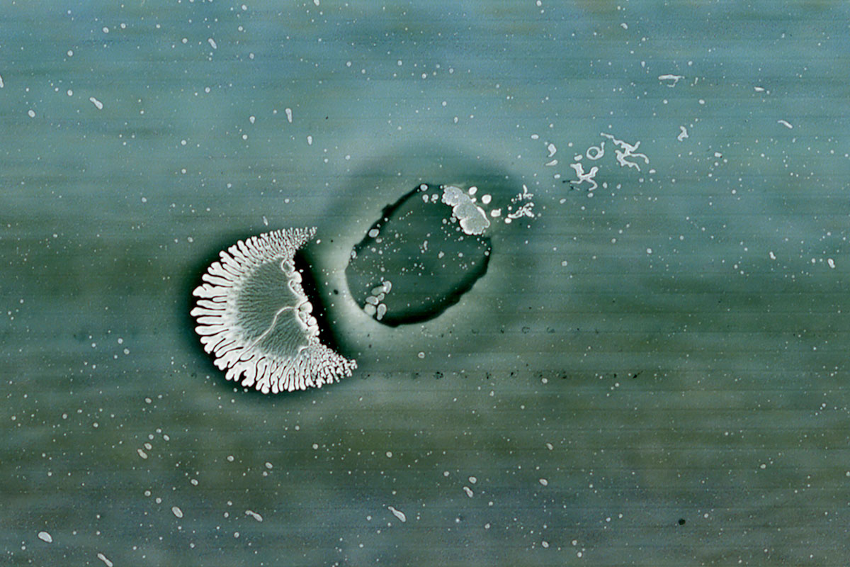 C4 from the series “Ambiguous Research at Seven Possible Seas” © Elina Ruka