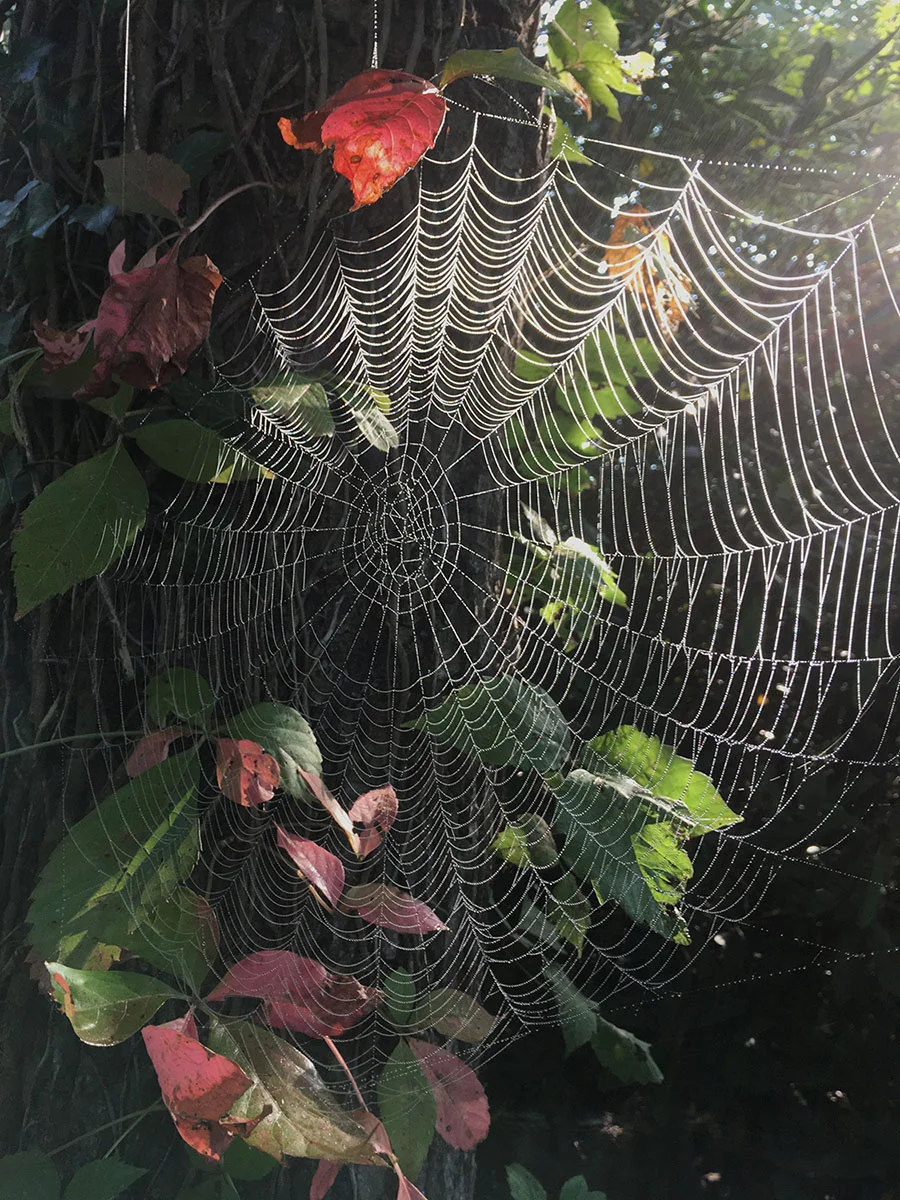 Photo: Kate Truisi / @kate_truisi