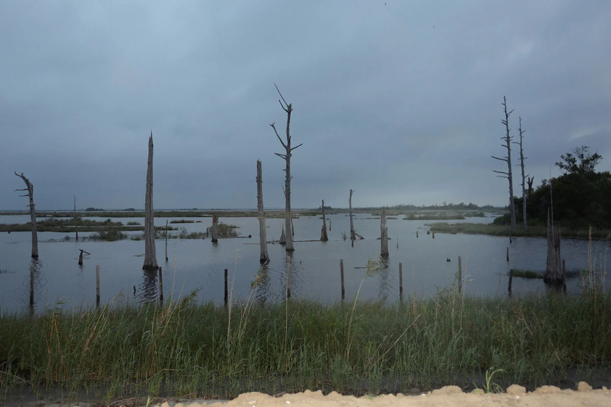 Saltwater Intrusion. June 2016. Chauvin, Louisiana. © Zoe Strauss