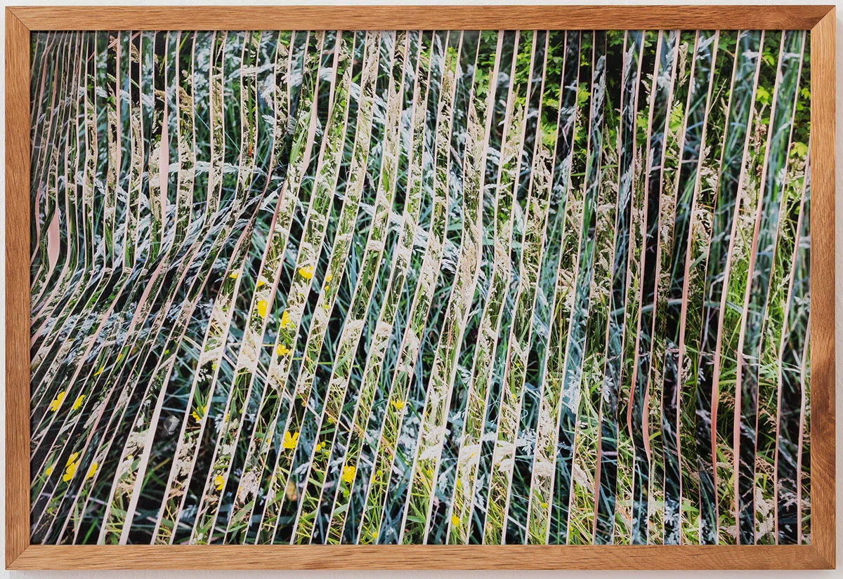Stratum, 2018 16x24” archival pigment print, edition of 5 © Teresa Christiansen
