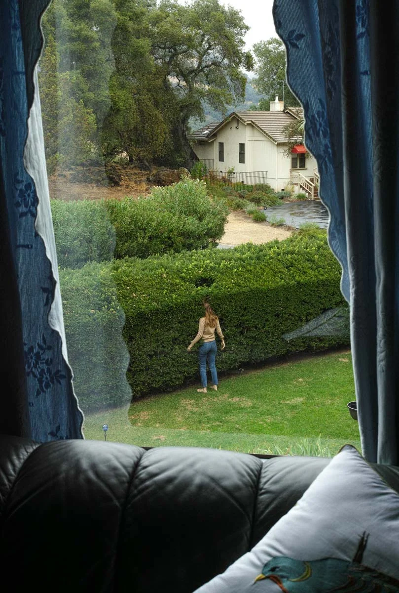 © Elizabeth Hibbard