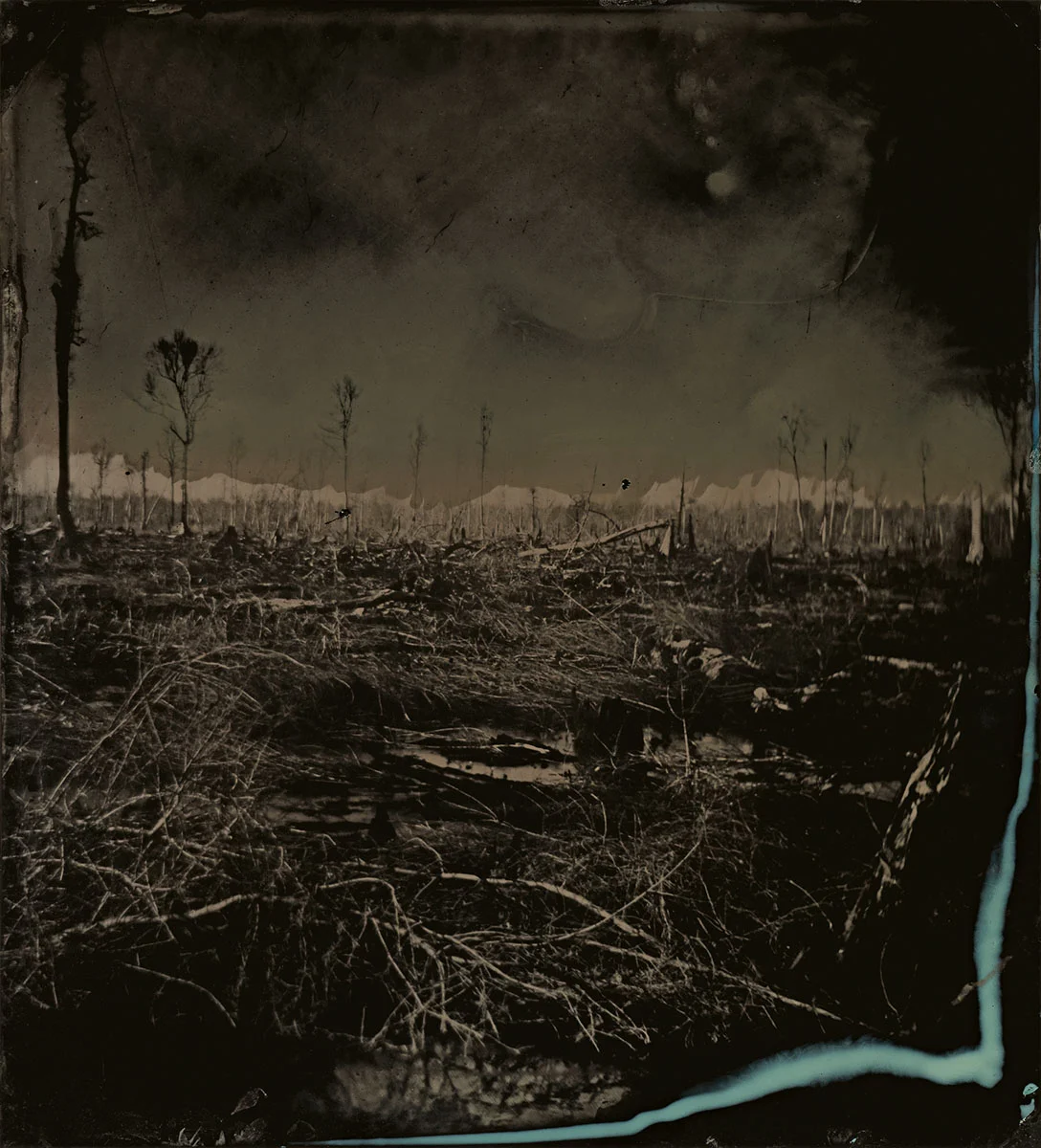 © Sally Mann. Blackwater 3, 2008–2012. Tintype. Collection of the artist