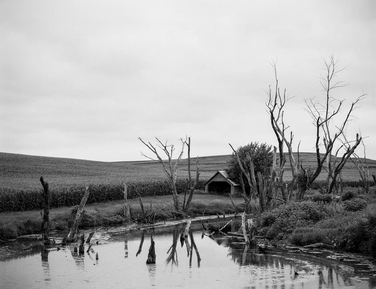 © Philip Matthews and David Johnson