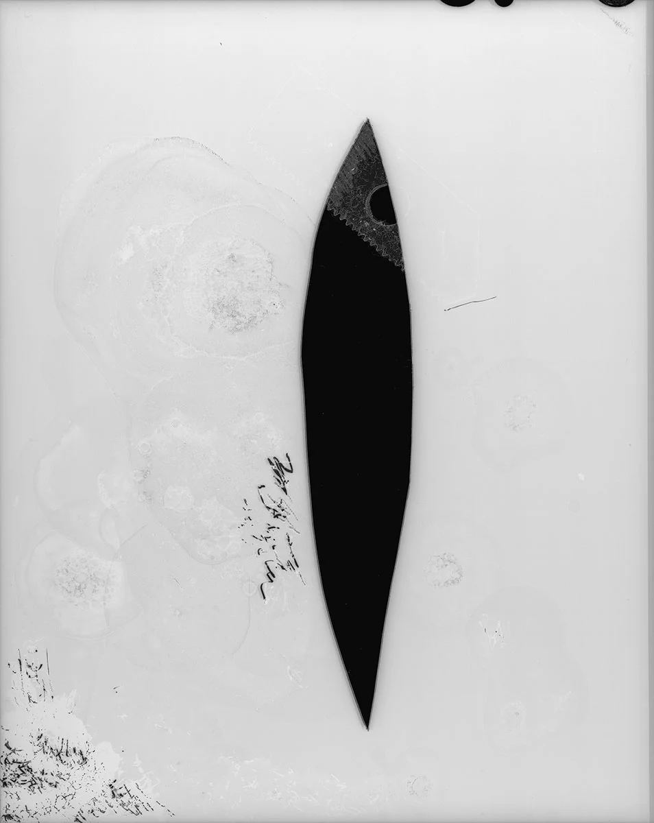 No43 - Expectations © Claire A. Warden