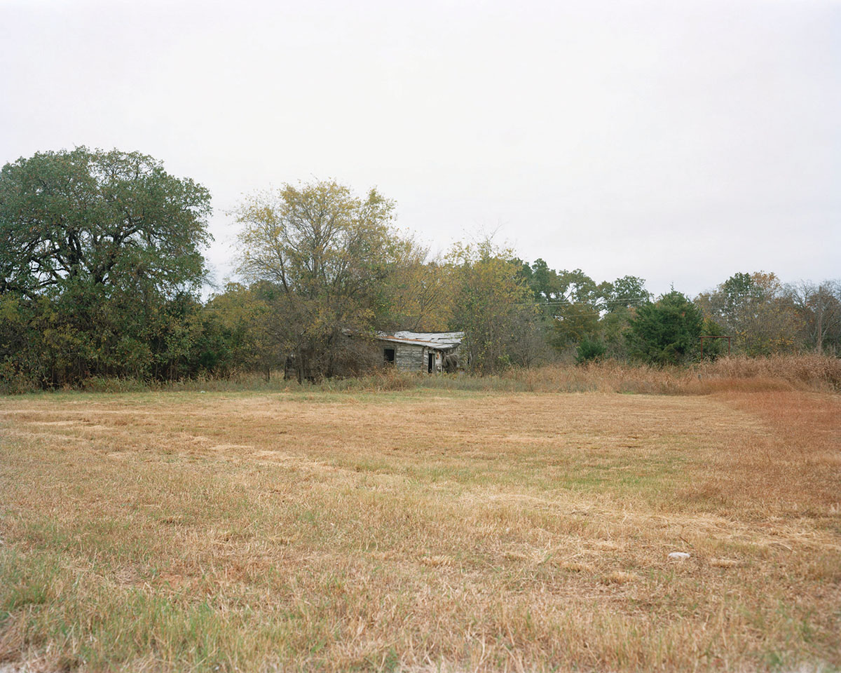 © Jason Lee