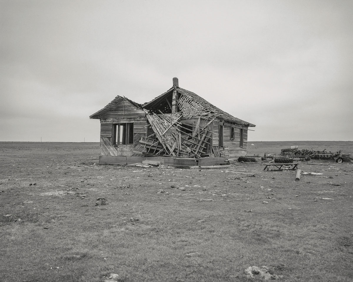 © Jason Lee
