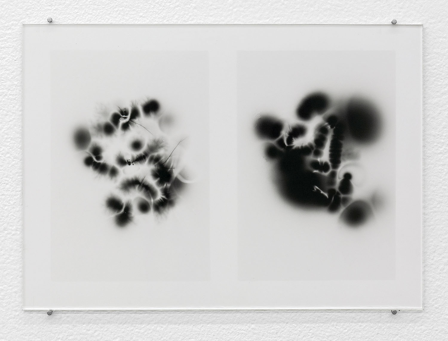 Small Black Cloud Looking Substance (2019) © Mathew Kneebone