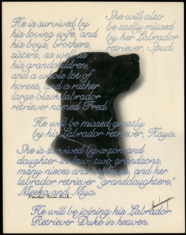 © Jane Waggoner Deschner. From the series Remember Me (Labrador Retriever)
