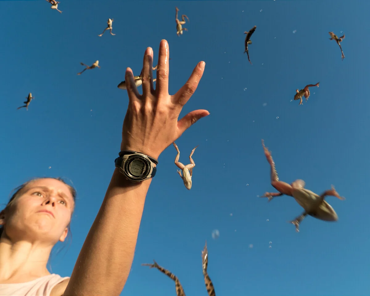 Frog Time © Sage Szkabarnicki-Stuart