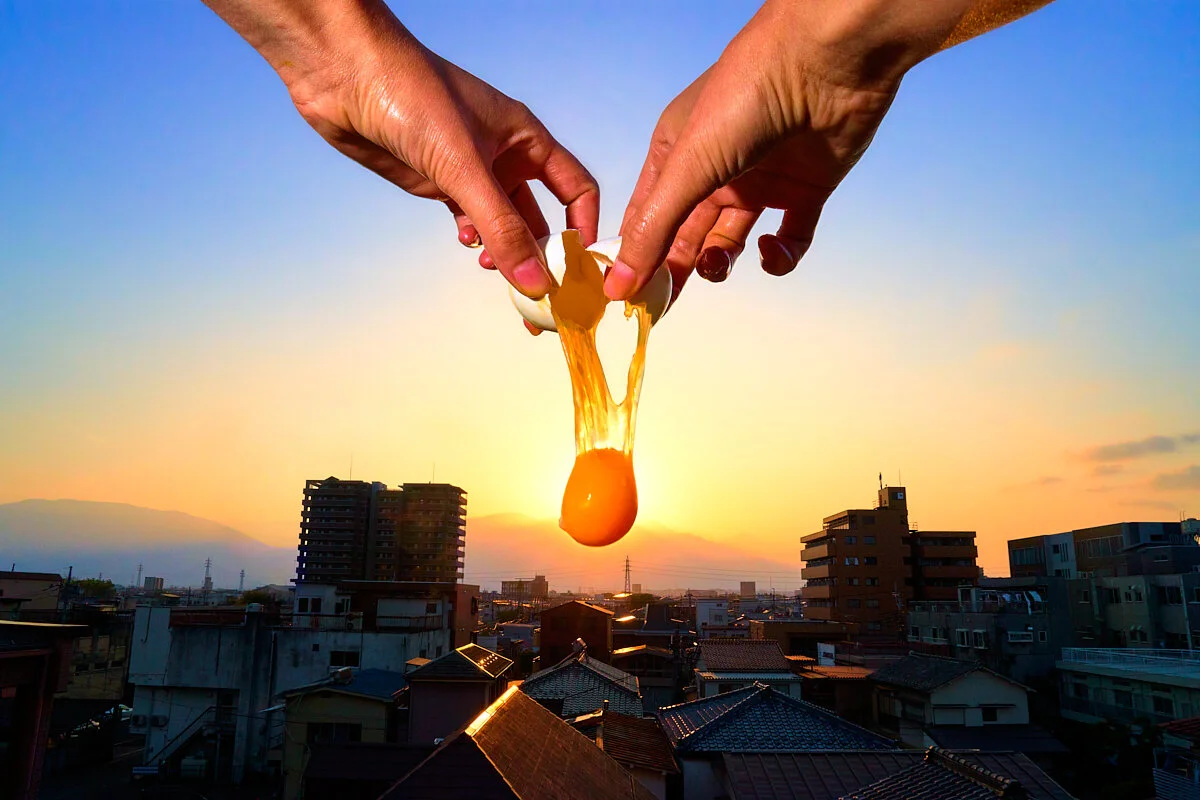 Eggrise, 2019 © Sage Szkabarnicki-Stuart