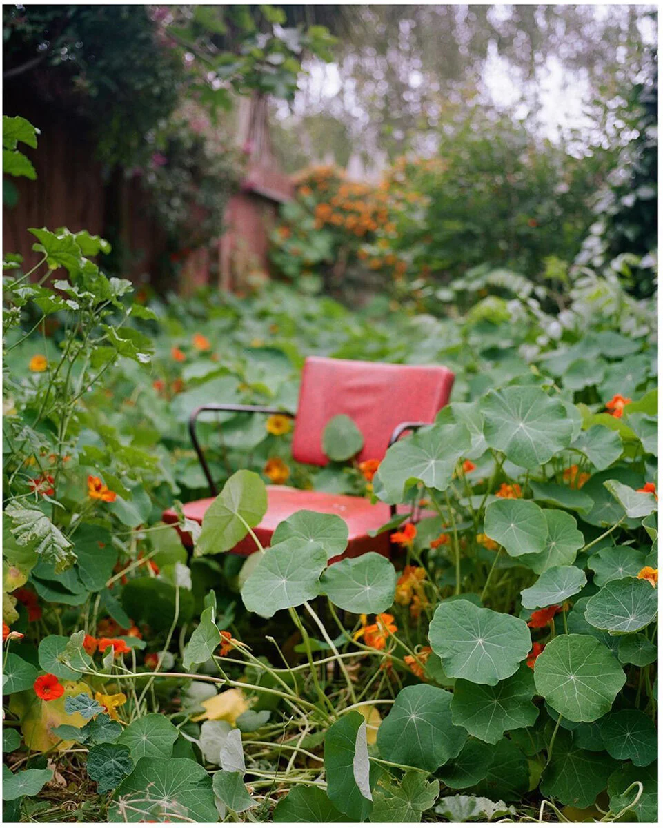 Nasturiums For Lunch, 2018 © Naima Green