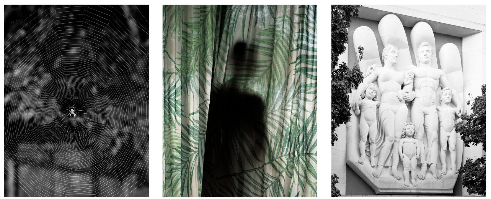 © Rana Young                                           © Jasmine Clarke                                        © Zora J Murff