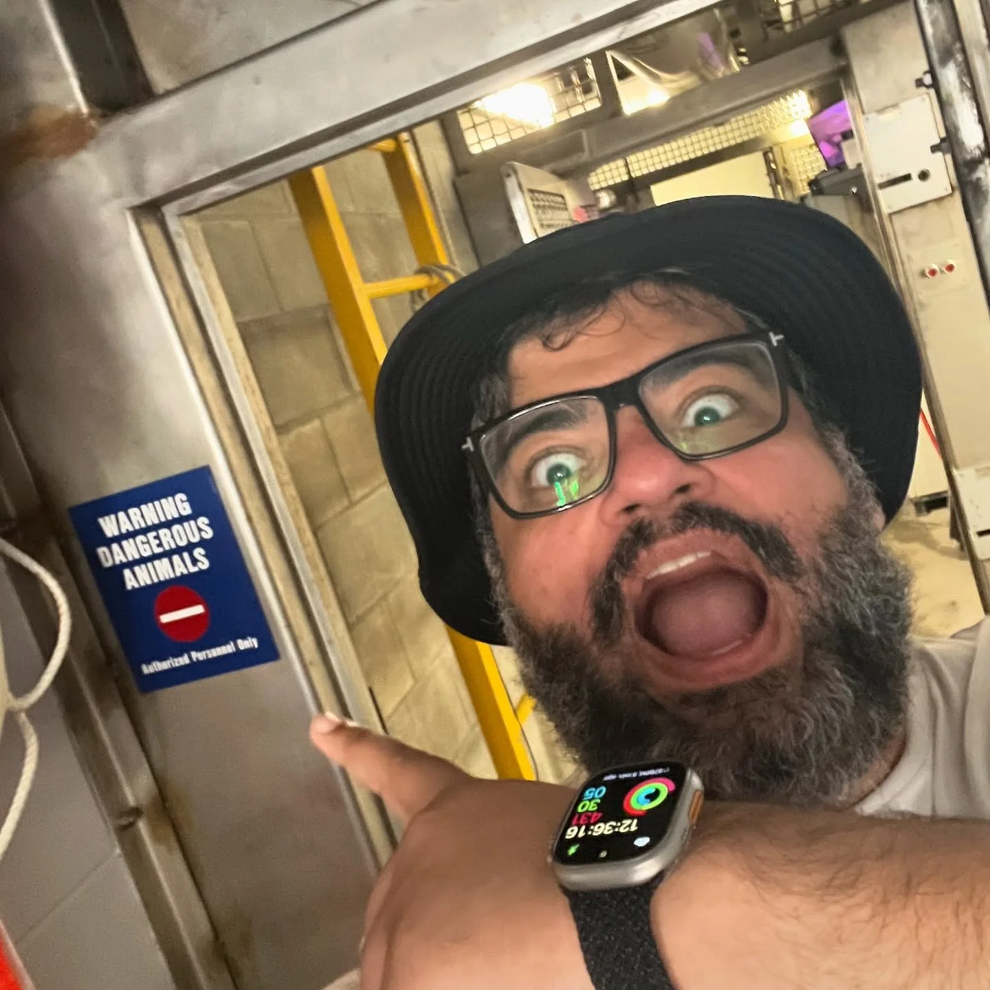 🐧🐧🐧 

Penguin encounter at @seaworldorlando