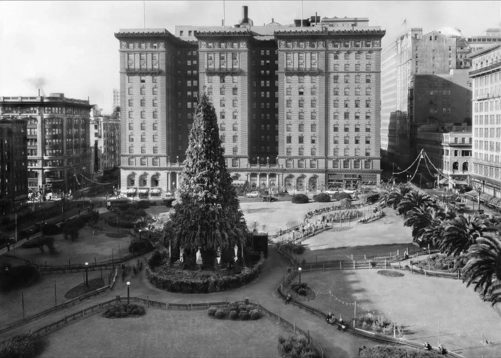 THE CHRISTMAS TREE IN UNION SQUARE, SAN FRANCISCO, 1910. Collection of the Oakland Public Library history room.